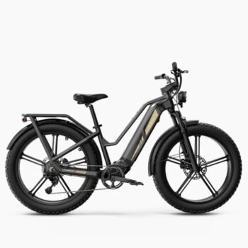 Second life fiido titan 140km 200kg laadvermogen elektrische fiets