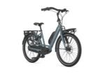 Gazelle Bloom C7